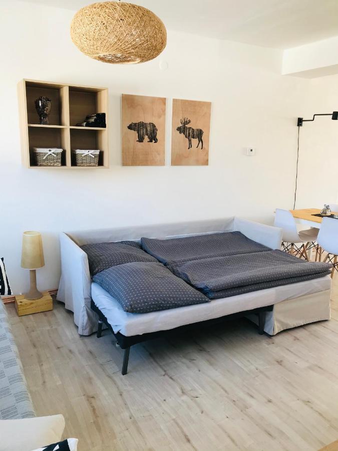 Apartmán Orlické Záhoří Exteriér fotografie