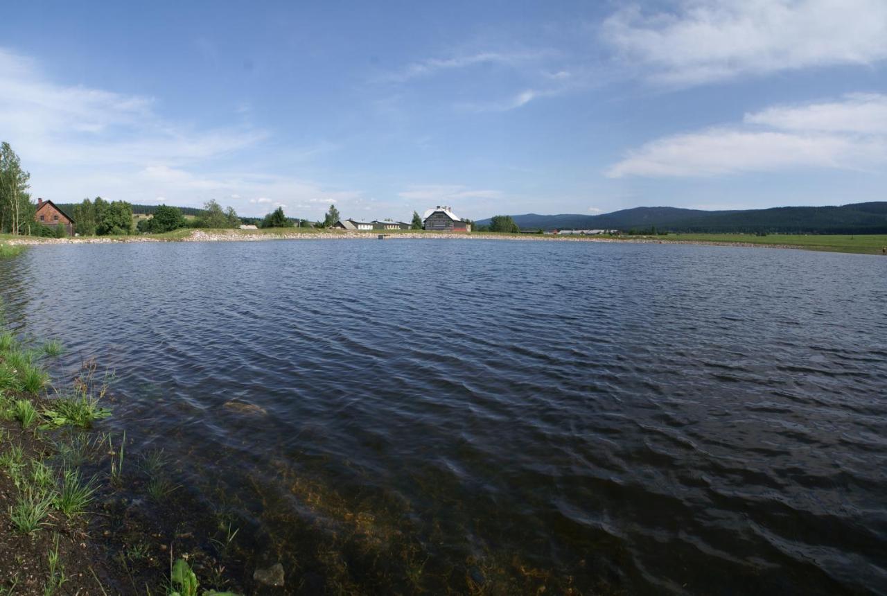 Apartmán Orlické Záhoří Exteriér fotografie